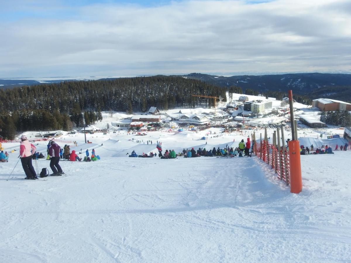 Enjoy Ferienwohnung Feldberg Grafenmatt Εξωτερικό φωτογραφία