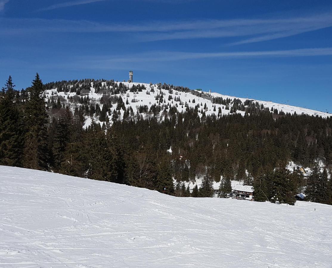 Enjoy Ferienwohnung Feldberg Grafenmatt Εξωτερικό φωτογραφία
