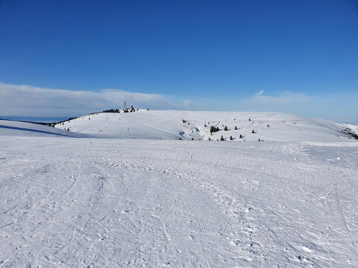 Enjoy Ferienwohnung Feldberg Grafenmatt Εξωτερικό φωτογραφία